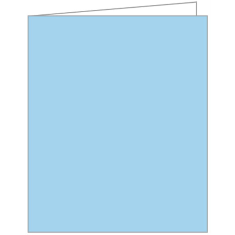 LIGHT BLUE ACQUIRE TAGS 12S