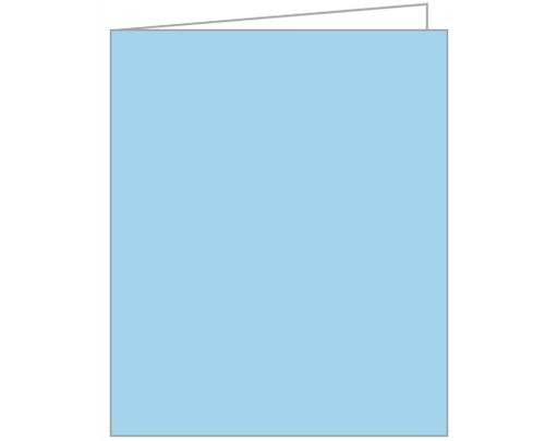 LIGHT BLUE ACQUIRE TAGS 12S