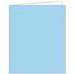 LIGHT BLUE ACQUIRE TAGS 12S