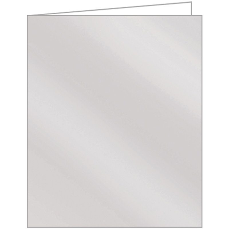 METALLIC SILVER ACQUIRE TAGS 12S