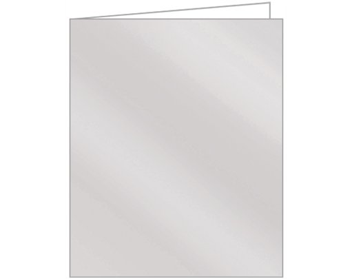 METALLIC SILVER ACQUIRE TAGS 12S