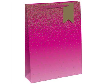 PINK OMBRE LARGE GIFT BAG 6S