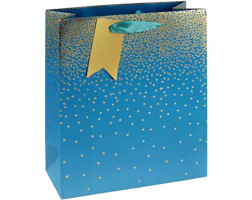 TEAL OMBRE MEDIUM GIFT BAG 6S