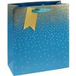 TEAL OMBRE MEDIUM GIFT BAG 6S