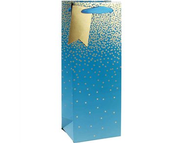 TEAL OMBRE BOTTLE BAG 6S