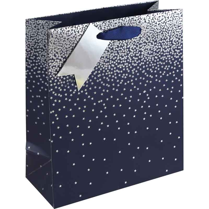 NAVY OMBRE MEDIUM GIFT BAG 6S