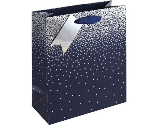 NAVY OMBRE MEDIUM GIFT BAG 6S