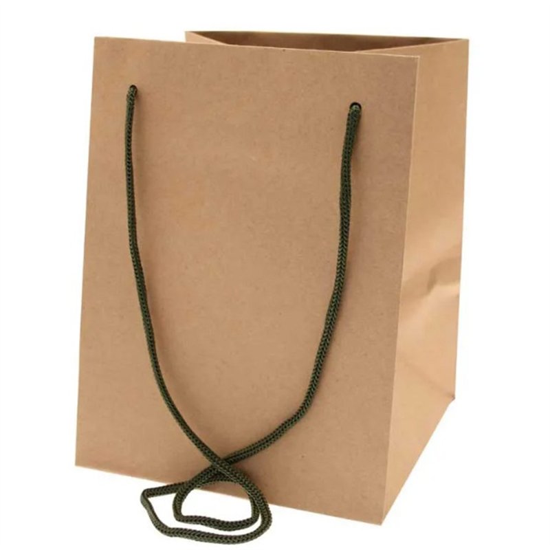 19x25cm NATURAL KRAFT MOSS HANDLE HAND TIE BAG 10S