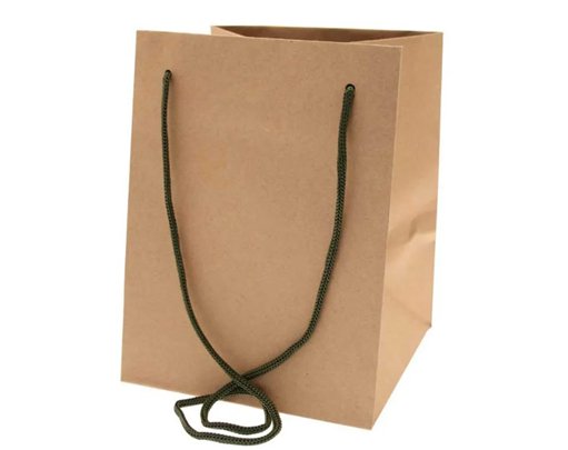 19x25cm NATURAL KRAFT MOSS HANDLE HAND TIE BAG 10S