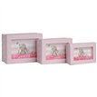 3SET DAISY WINDOW BOXES