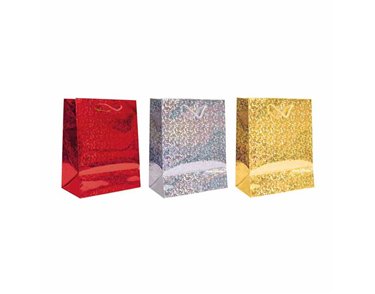 SMALL HOLOGRAPHIC GIFT BAG 12S