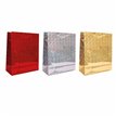 MEDIUM HOLOGRAPHIC GIFT BAG 12S