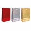 LARGE HOLOGRAPHIC GIFT BAG 12S