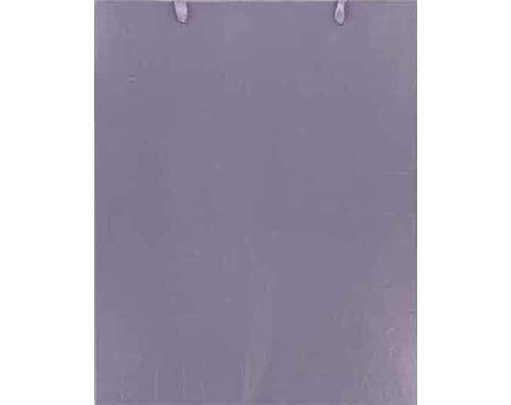 EMBOSSED LARGE GIFT BAG 6S