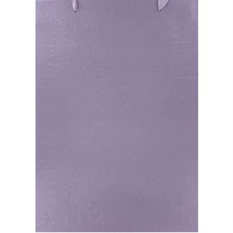 EMBOSSED XLG GIFT BAG 6S