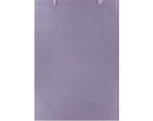 EMBOSSED XLG GIFT BAG 6S