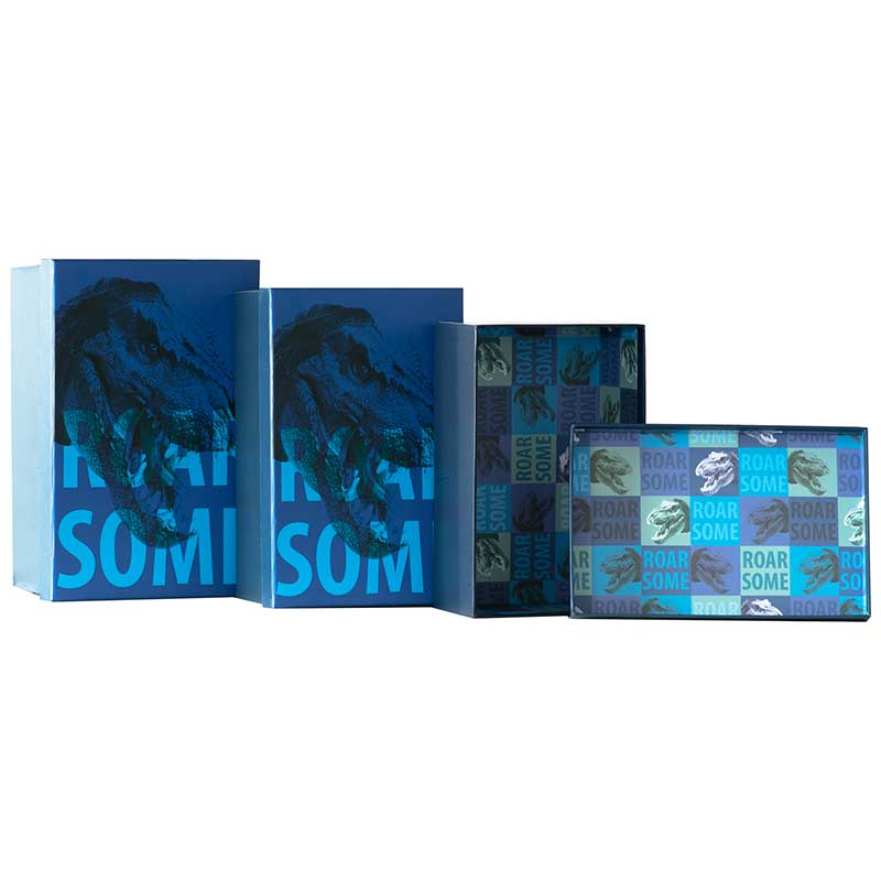 3SET ROARSOME BOXES
