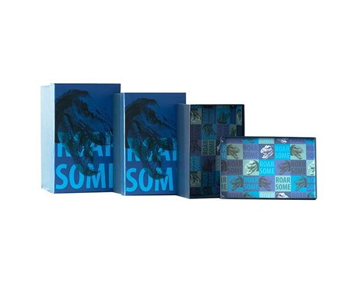 3SET ROARSOME BOXES