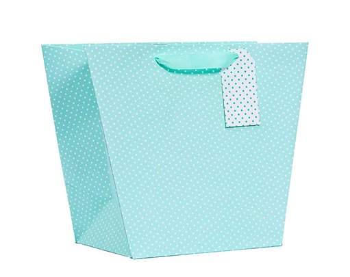 MINT POLKA LARGE VASE GIFTBAG 6S