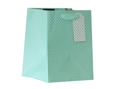 MINT POLKA MEDIUM PLANT GIFTBAG 6S
