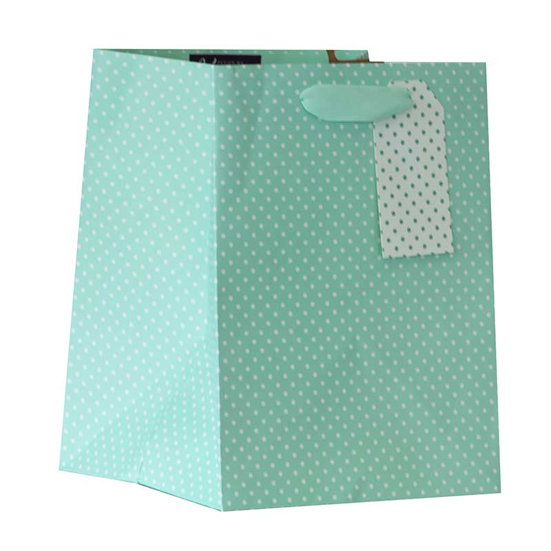 MINT POLKA MEDIUM PLANT GIFTBAG 6S