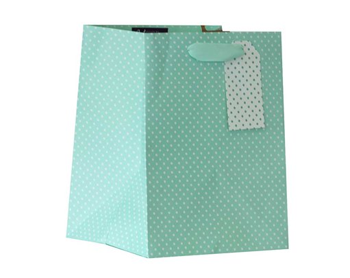 MINT POLKA MEDIUM PLANT GIFTBAG 6S