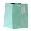 MINT POLKA MEDIUM PLANT GIFTBAG 6S