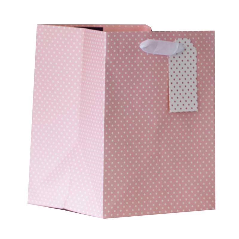 PINK POLKA MEDIUM PLANT GIFTBAG 6S