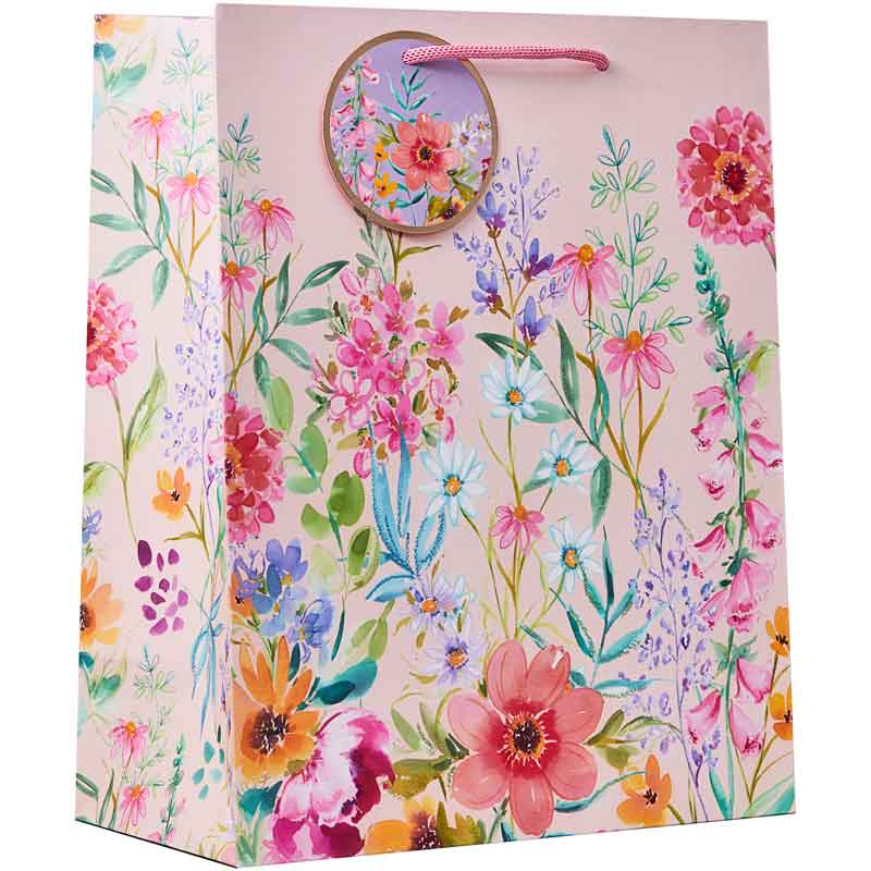 AURORA LARGE GIFT BAG 6S