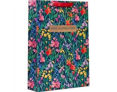 LILIANA XLG GIFT BAG 6S