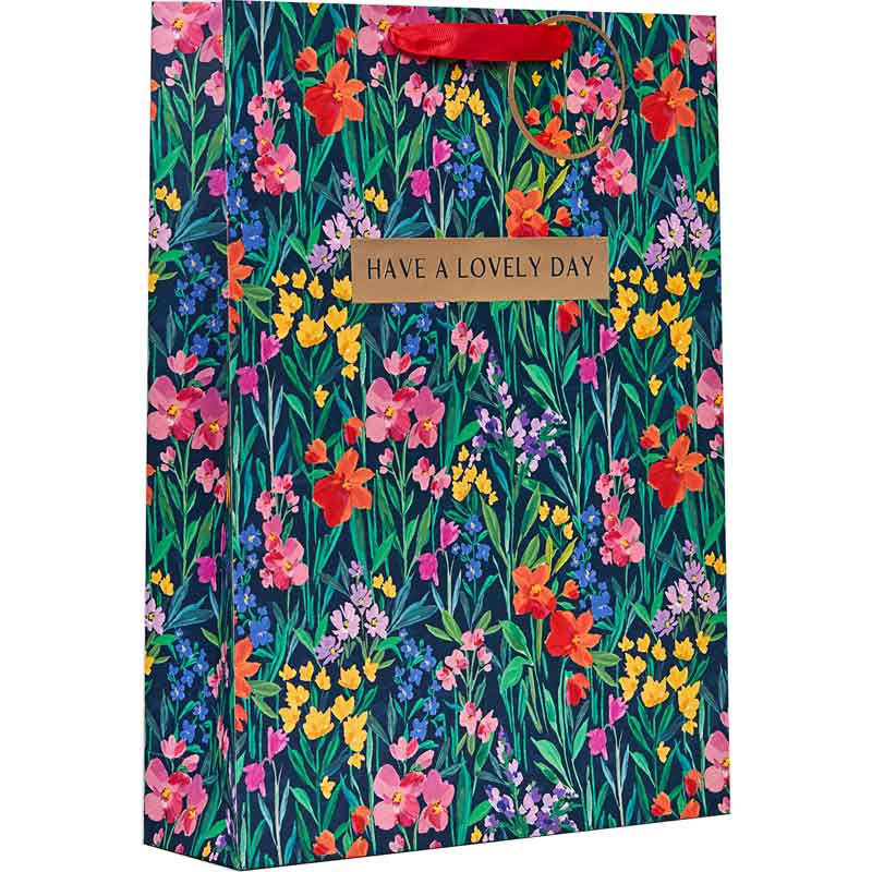 LILIANA XLG GIFT BAG 6S