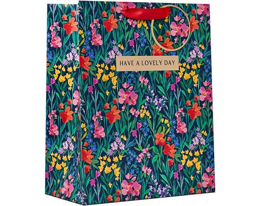 LILIANA LARGE GIFT BAG 6S