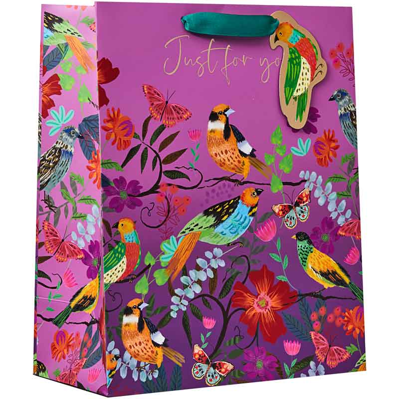 BRIGHT AND BEAUTIFUL LARGE GIFT BAG 6S