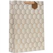 LINEAR XLG GIFT BAG 6S