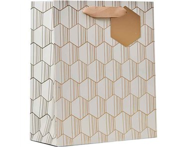 LINEAR MEDIUM GIFT BAG 6S