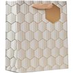 LINEAR MEDIUM GIFT BAG 6S