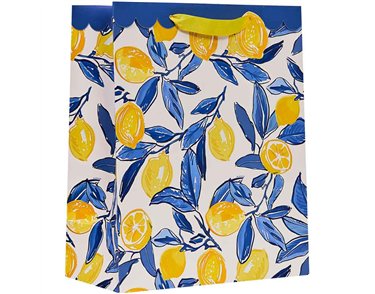 LA DOLCE VITA LARGE GIFT BAG 6S