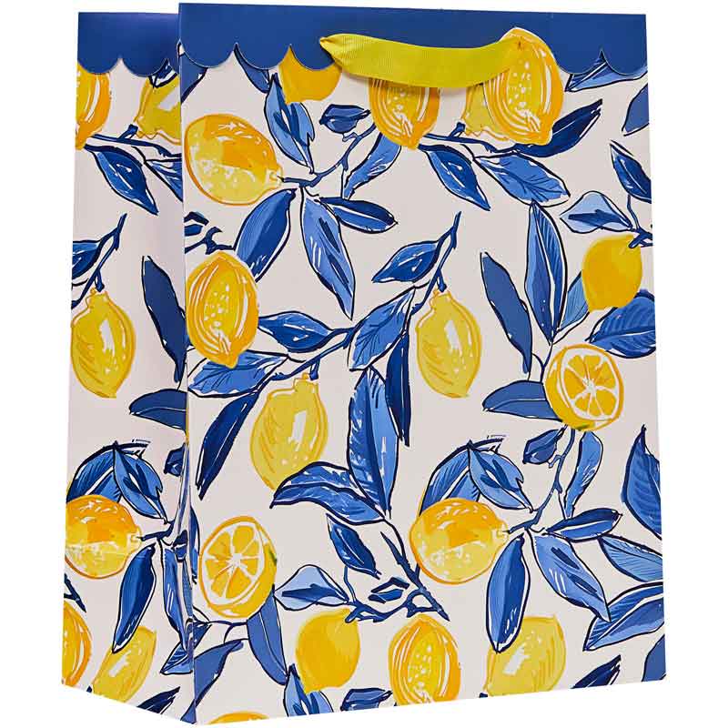 LA DOLCE VITA LARGE GIFT BAG 6S