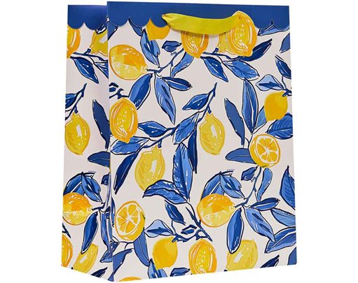 LA DOLCE VITA LARGE GIFT BAG 6S
