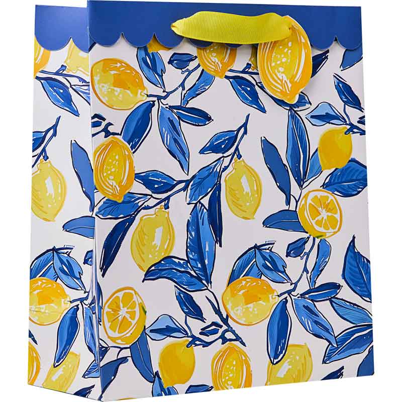 LA DOLCE VITA MEDIUM GIFT BAG 6S