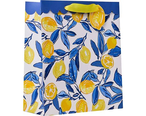 LA DOLCE VITA MEDIUM GIFT BAG 6S