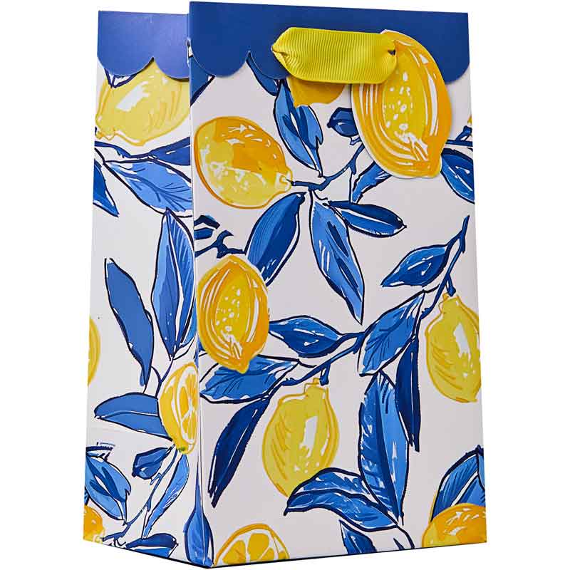 LA DOLCE VITA SMALL GIFT BAG 6S