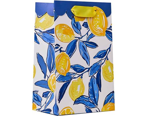 LA DOLCE VITA SMALL GIFT BAG 6S