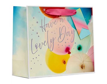 LOVELY DAY MEDIUM SHOPPER GIFT BAG 6S