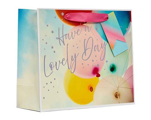 LOVELY DAY MEDIUM SHOPPER GIFT BAG 6S