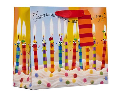 HAPPY BIRTHDAY TO YOU MEDIUM SHOPPER GIFT BAG 6S