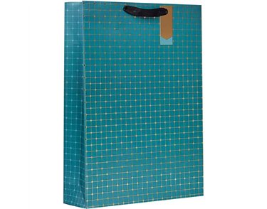 SYMMETRY XLG GIFT BAG 6S