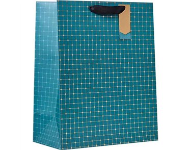 SYMMETRY LARGE GIFT BAG 6S