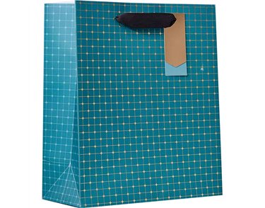 SYMMETRY MEDIUM GIFT BAG 6S