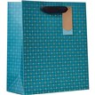 SYMMETRY MEDIUM GIFT BAG 6S